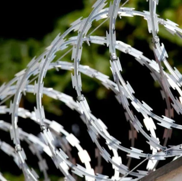 Cercas Elétricas e Concertinas - Foto 2