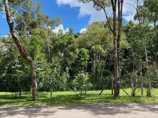 Terreno à venda no São Lourenço ARYA1 - Foto 2