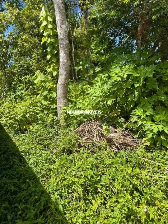 Terreno à Venda com 3.260m² - Praia do Estaleiro - Balneário Camboriú -SC - Foto 4