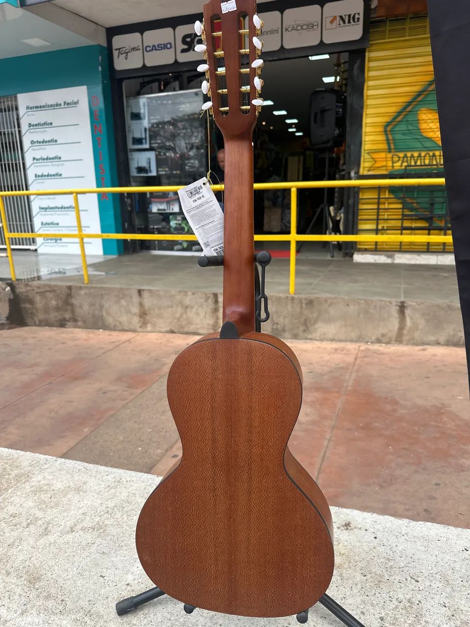 Viola Giannini Raiz VS4H Faia - Foto 3
