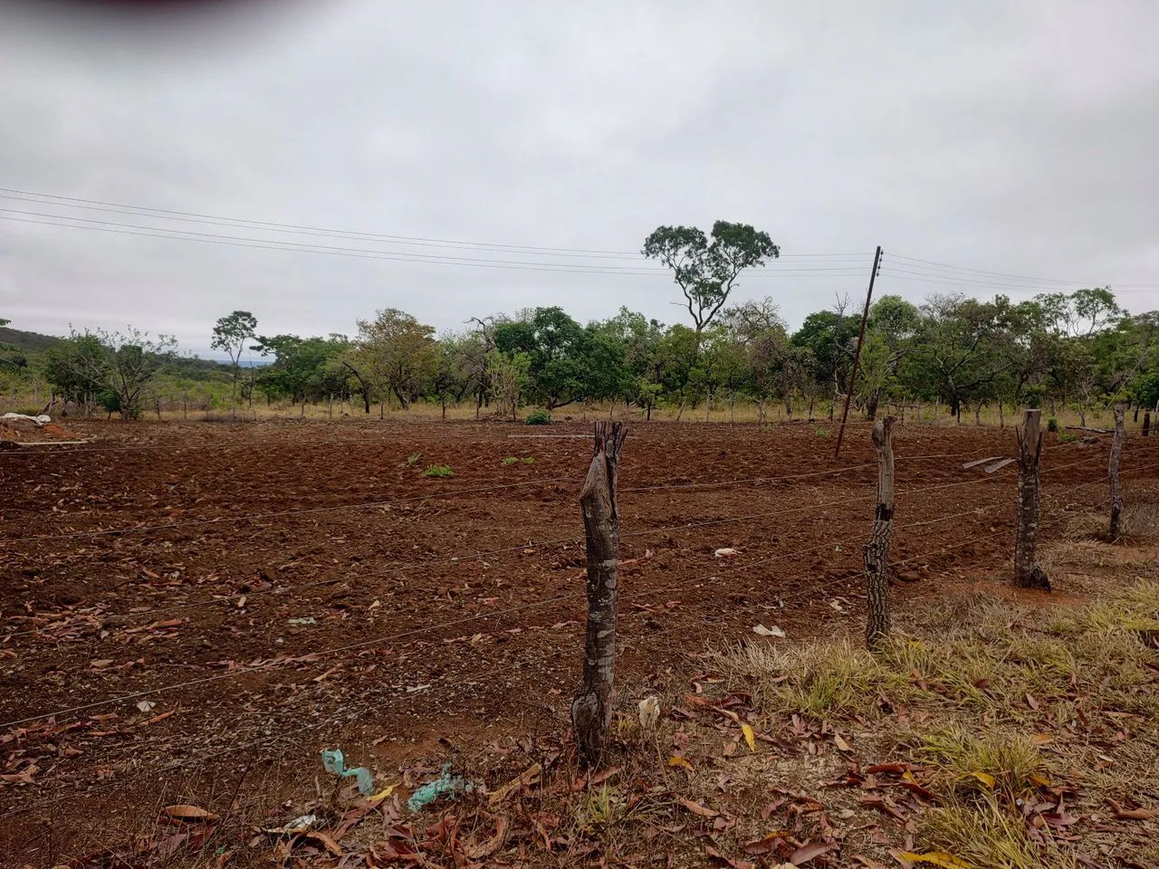 Fazenda DF Planaltina Beira DF 345 - Foto 4