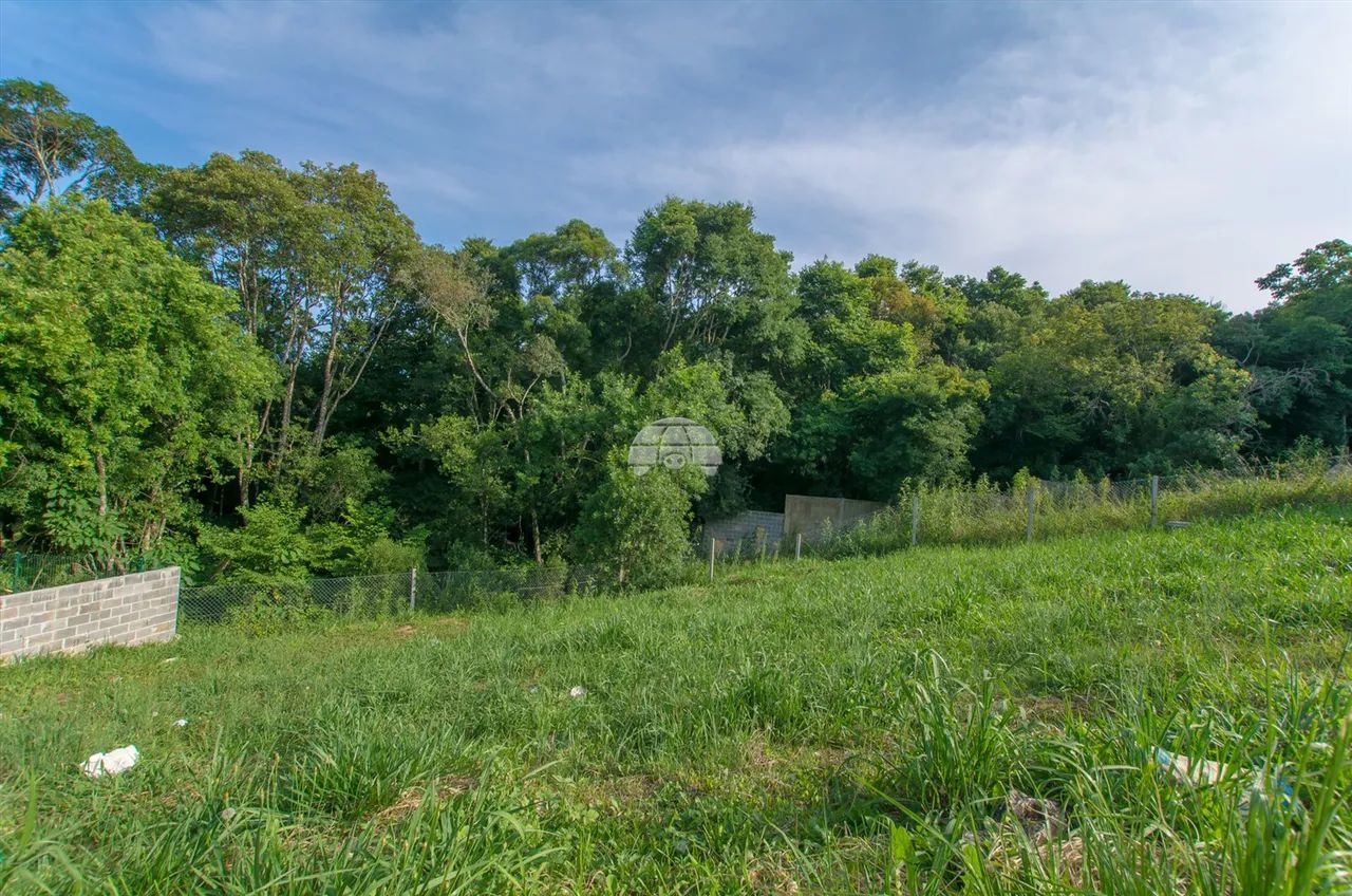 Vendas Terreno Curitiba PR - Foto 5