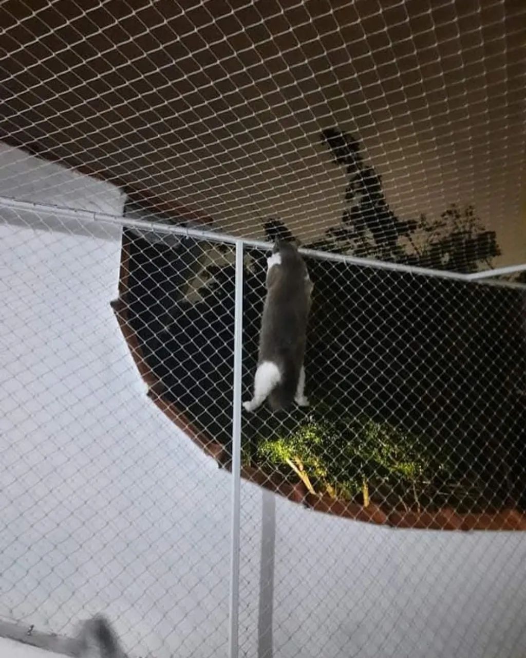 Muro com Rede De Proteção 
