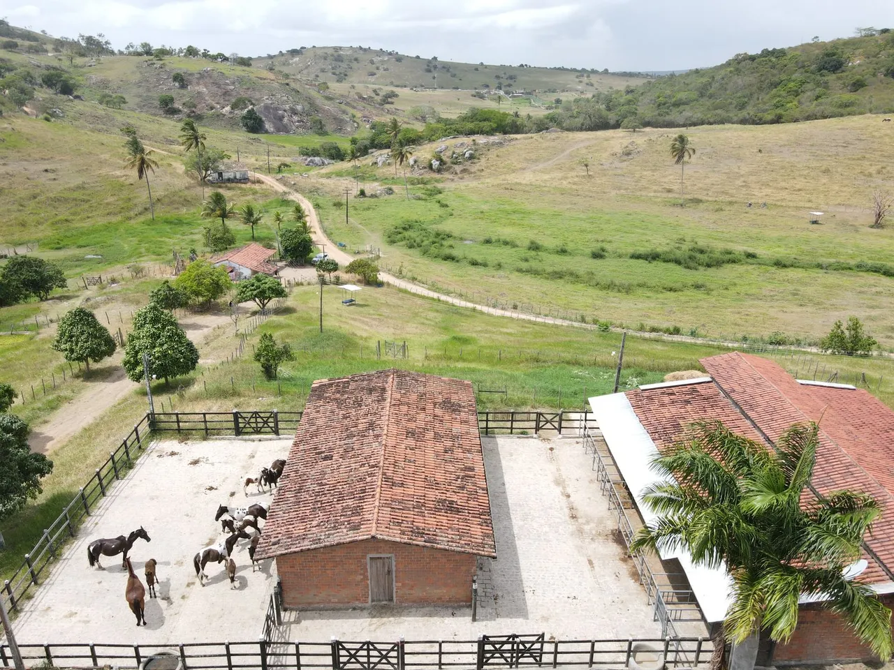 HARAS COM 50 HECTARES EM MANDACARU MUITA ÁGUA E ESTRUTURA COMPLETA!