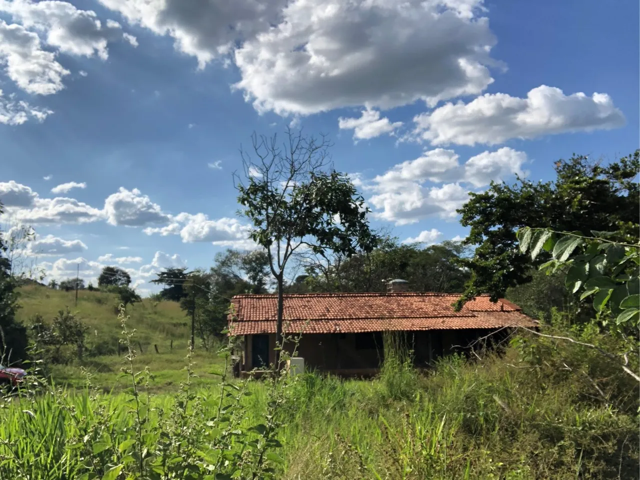 Alugo fazenda