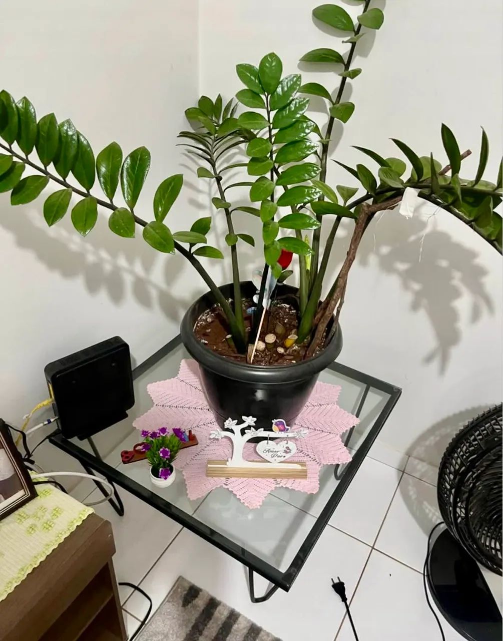 Mesa de Centro com Tampo de Vidro - Foto 5