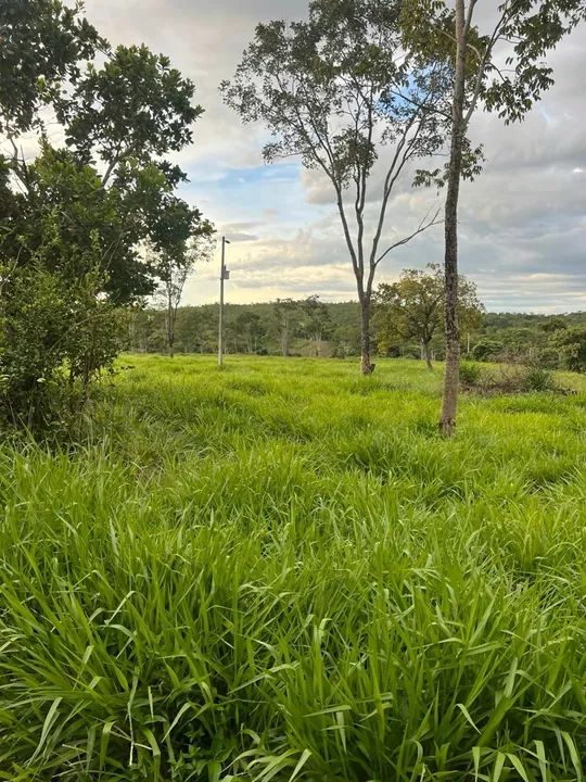 Vendo Fazenda 34.5 alqueires aceito imóveis em Palmas - Foto 9