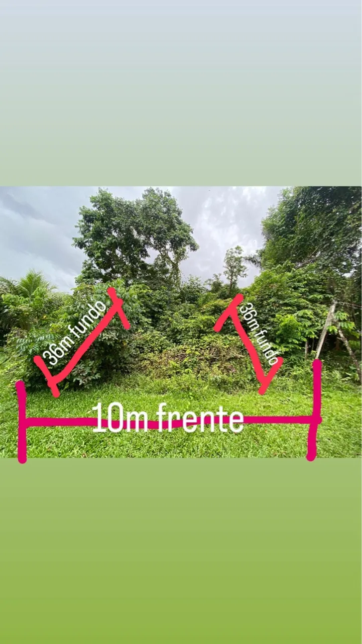COTIJUBA centro 10x36