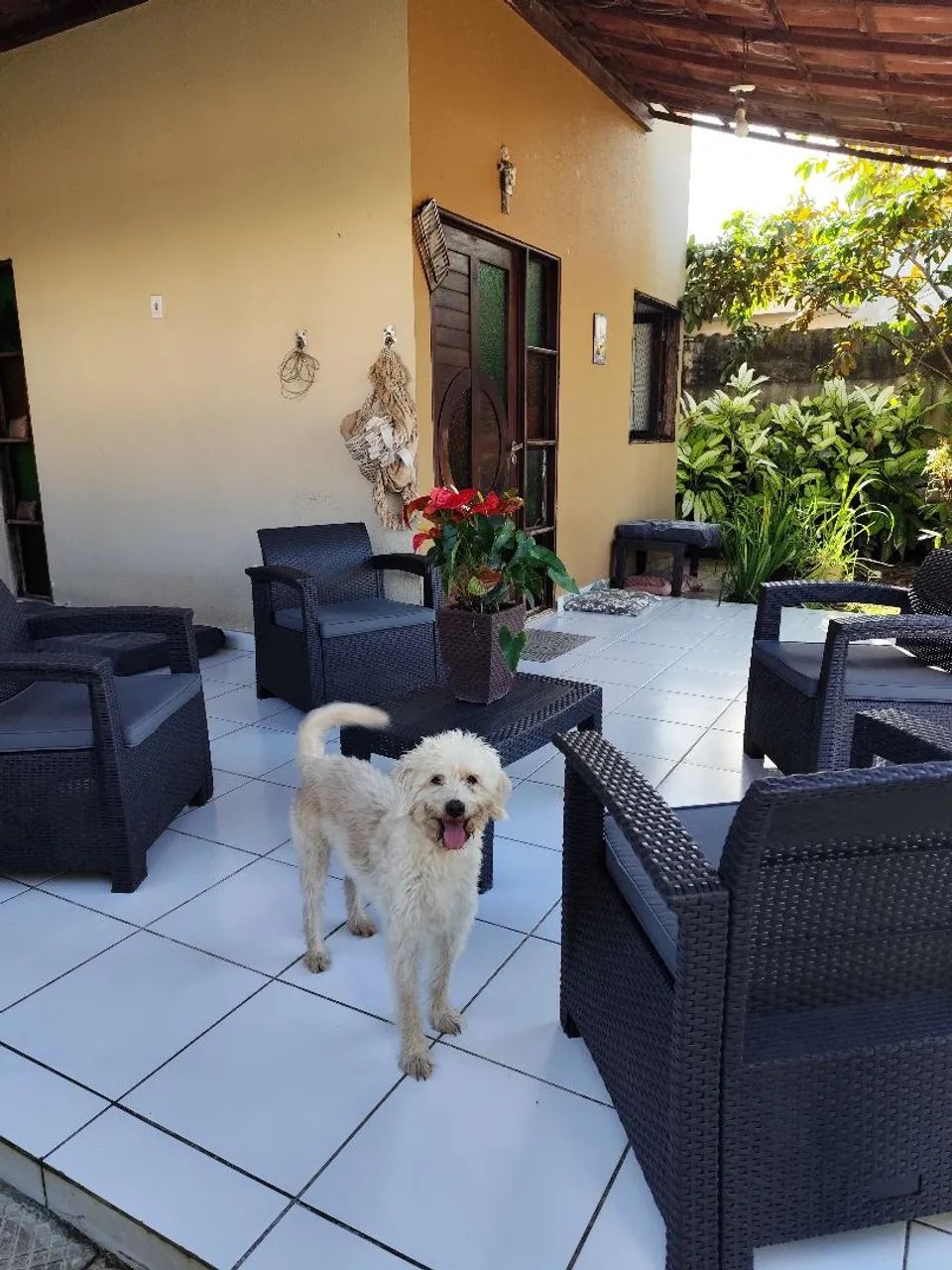 Casa no Antares, 3 quartos, sendo 1 suíte Master, direto com Proprietário - Foto 3