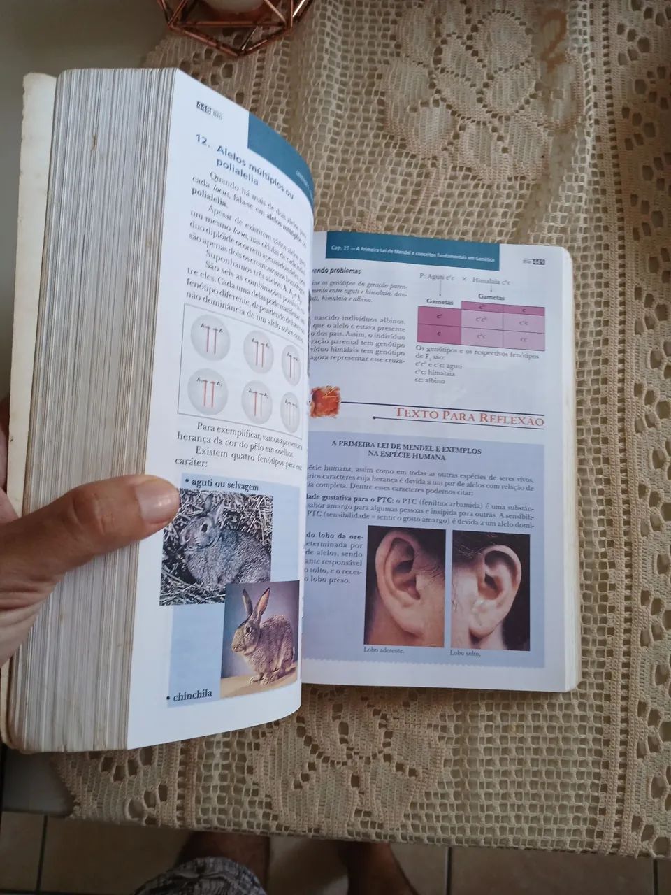 Livro BIO - Sônia Lopes - Volume Único - Foto 4