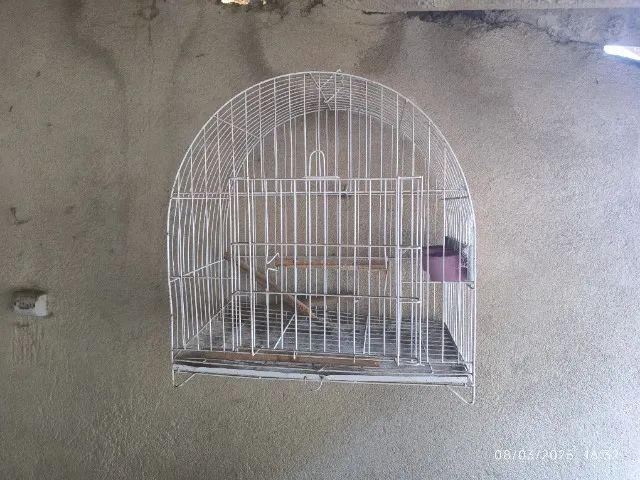 Vendo gaiolas usadas  - Foto 2