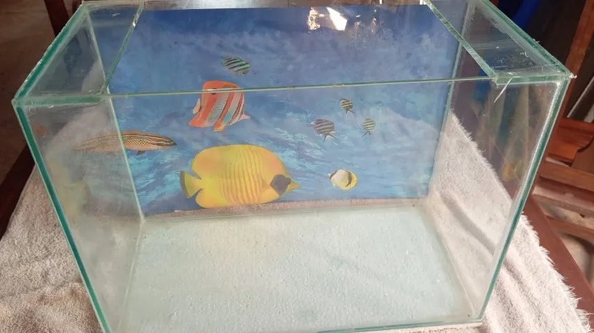 Vendo Aquário 24 Litros