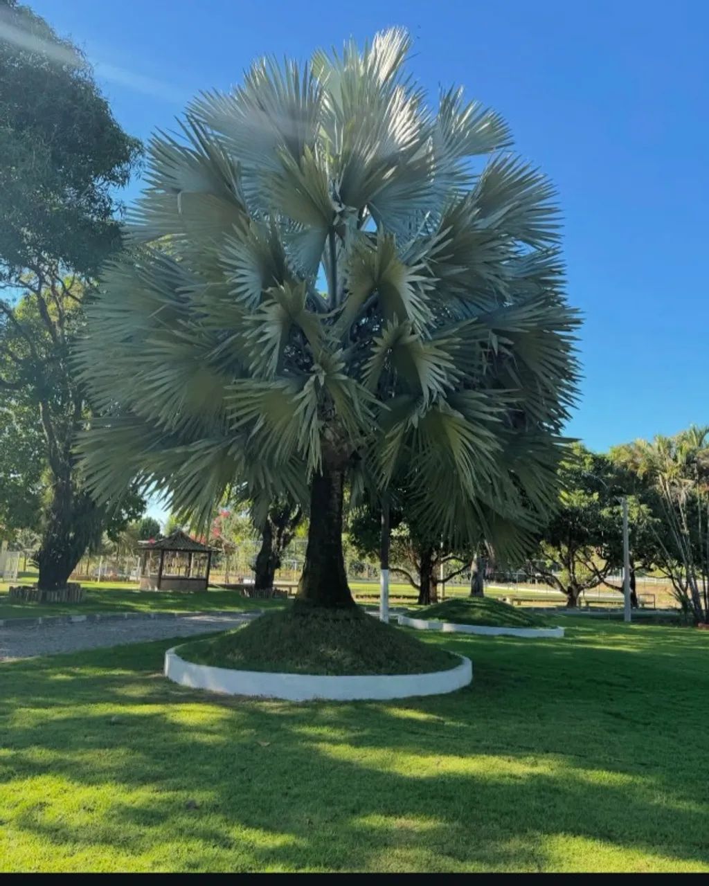 Sítio Macaé  - Foto 3