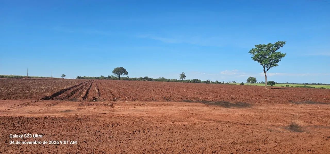 Fazenda de cana  - Foto 2