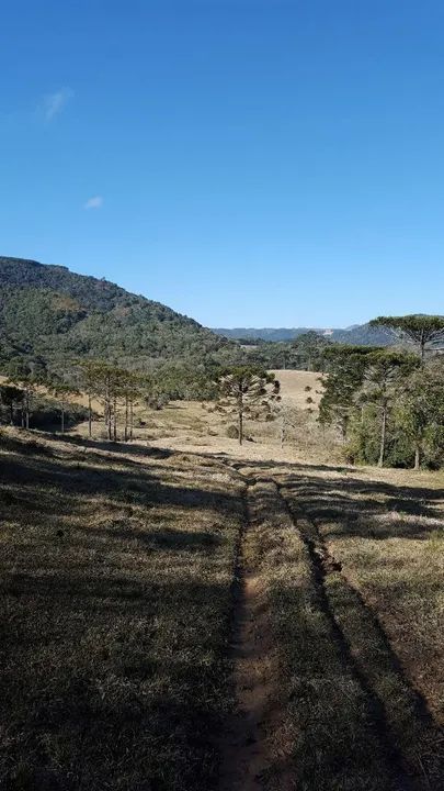 Rancho Queimado Terreno com vista espetacular para a natureza