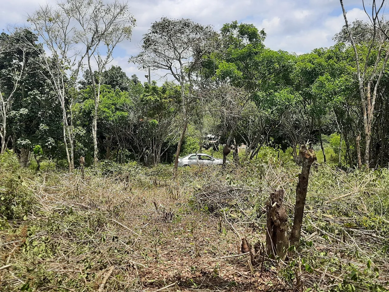 Terreno no bairro Juracy Palhano. R$ 60 MIL
