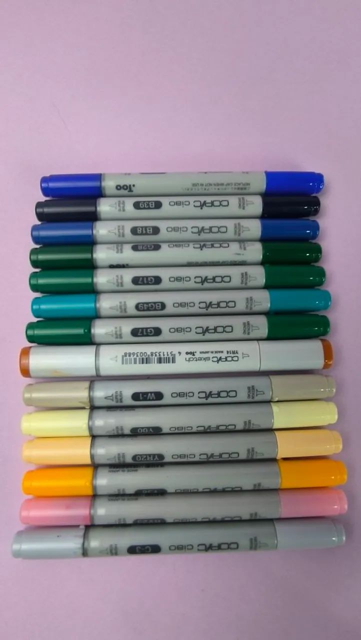 Kit de canetas copic totalmente recarregada. 64220025262978121