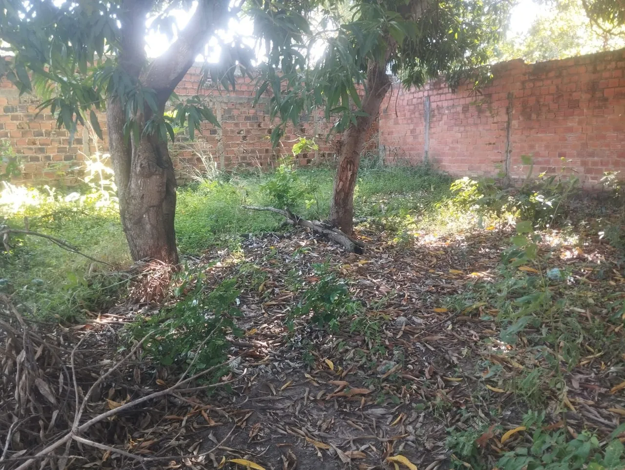 Vende se terreno 