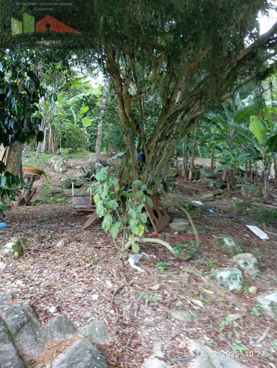REF. 380 Terreno à venda no bairro Ratones - Foto 4