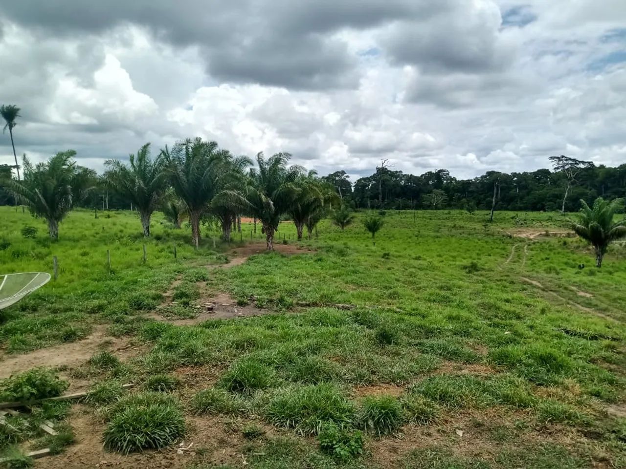 Vendo Área de terra com  210 ha, estrada que vai para o Município de Porto Acre-AC