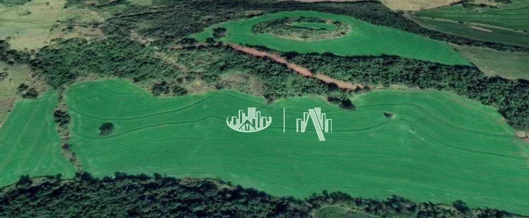 Sítio à venda, 653400 m² por R$ 4.900.000,00 - Zona Rural - Assaí/PR - Foto 4