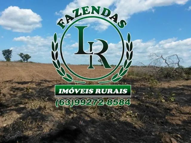 Fazenda de 176 Alqueires, Dupla Aptidão - Foto 4