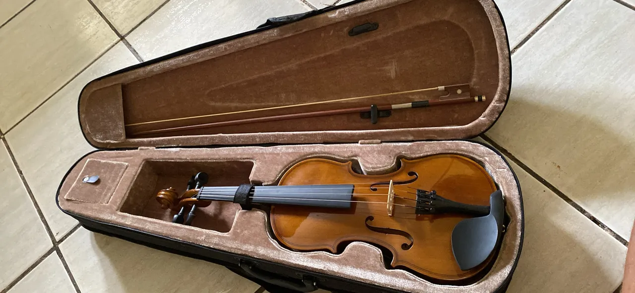 Violino seminovo