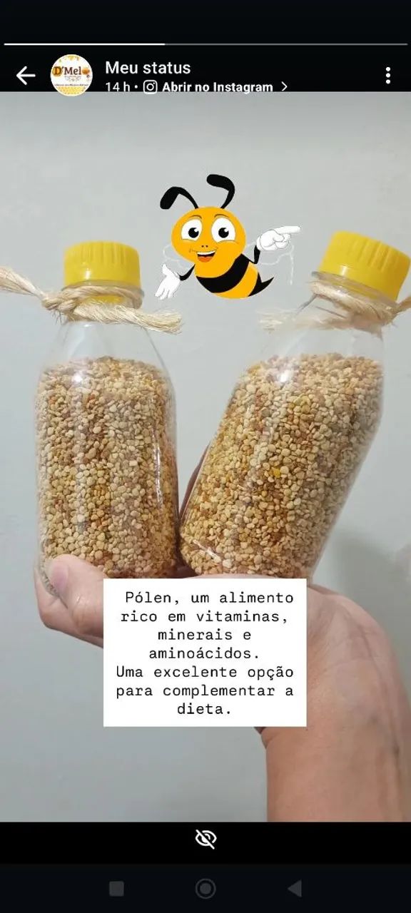 Pólen apícola natural