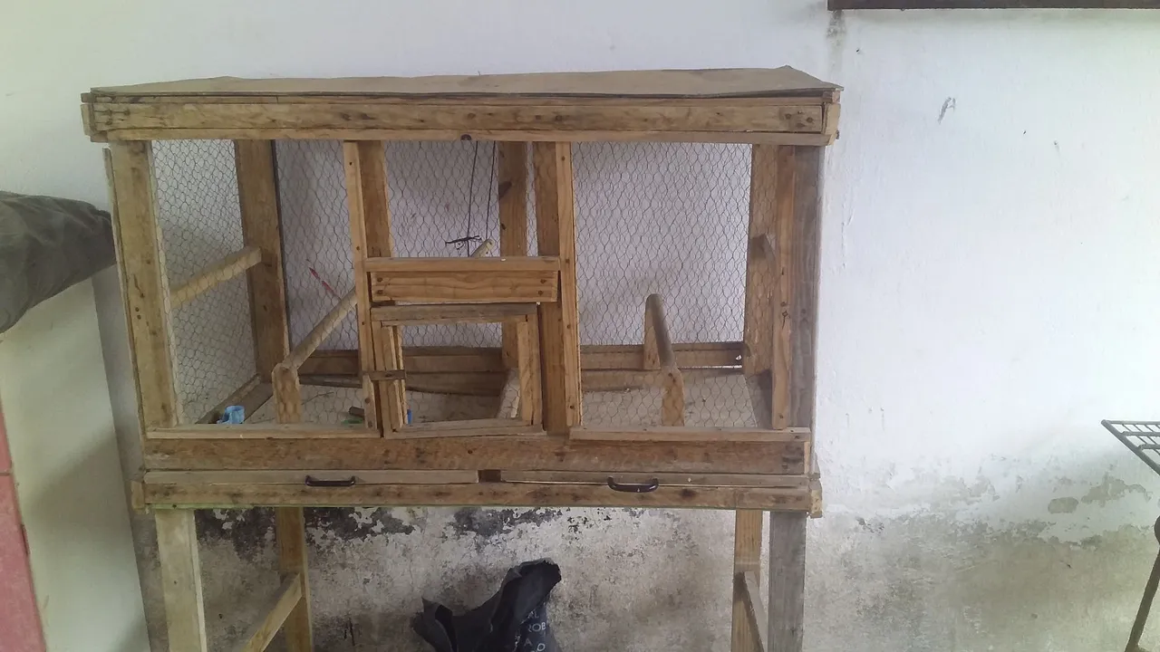 Gaiola pra codorna
