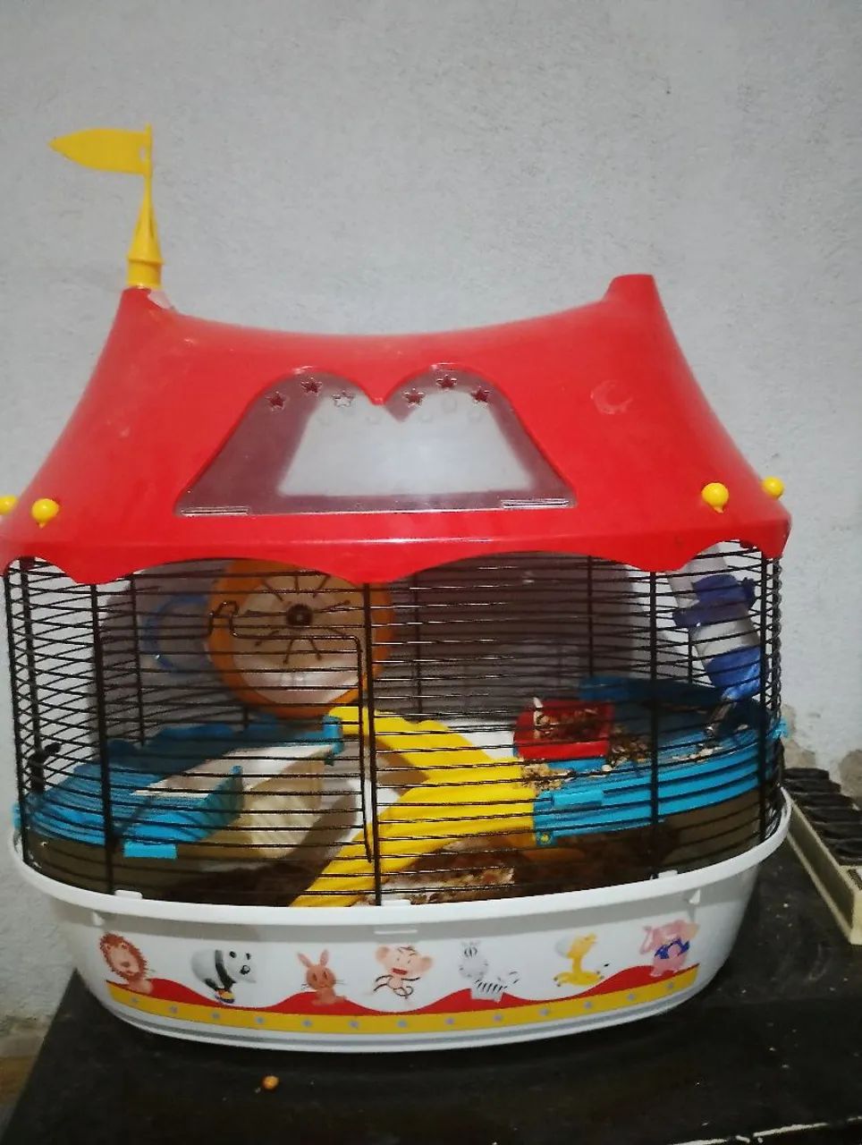 Hamster Russo