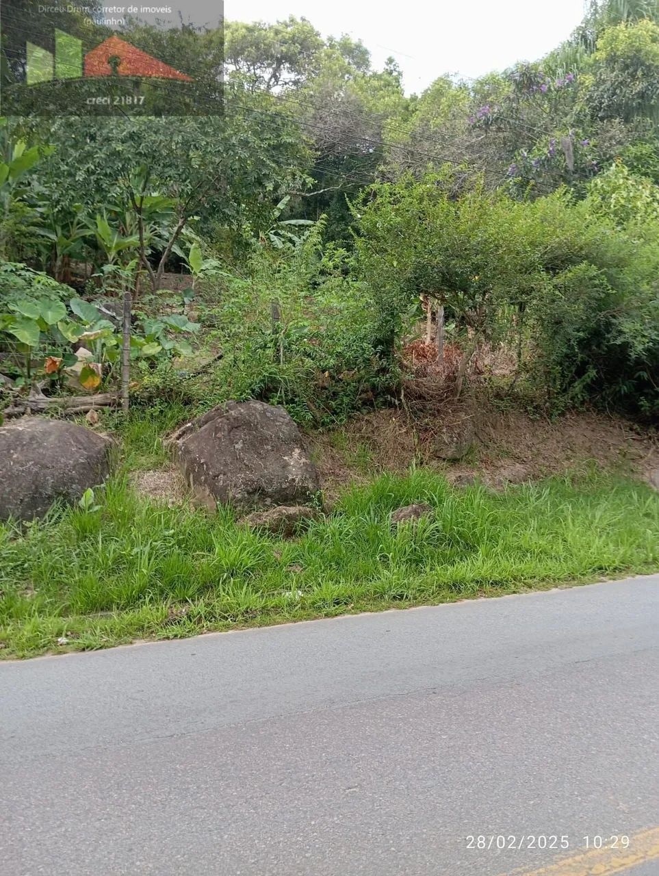 REF. 380 Terreno à venda no bairro Ratones - Foto 5
