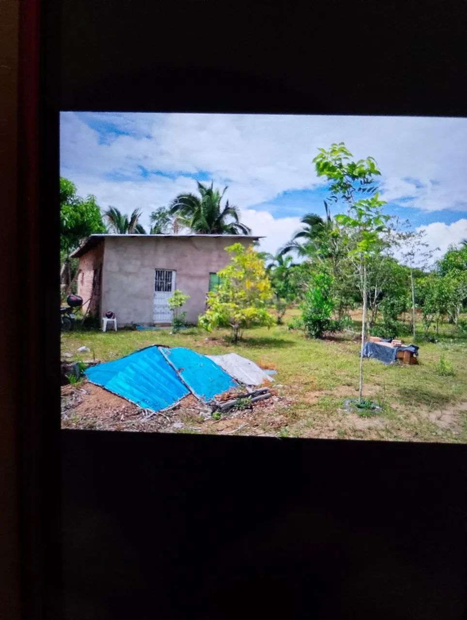 Foto - Manaus - Japiim