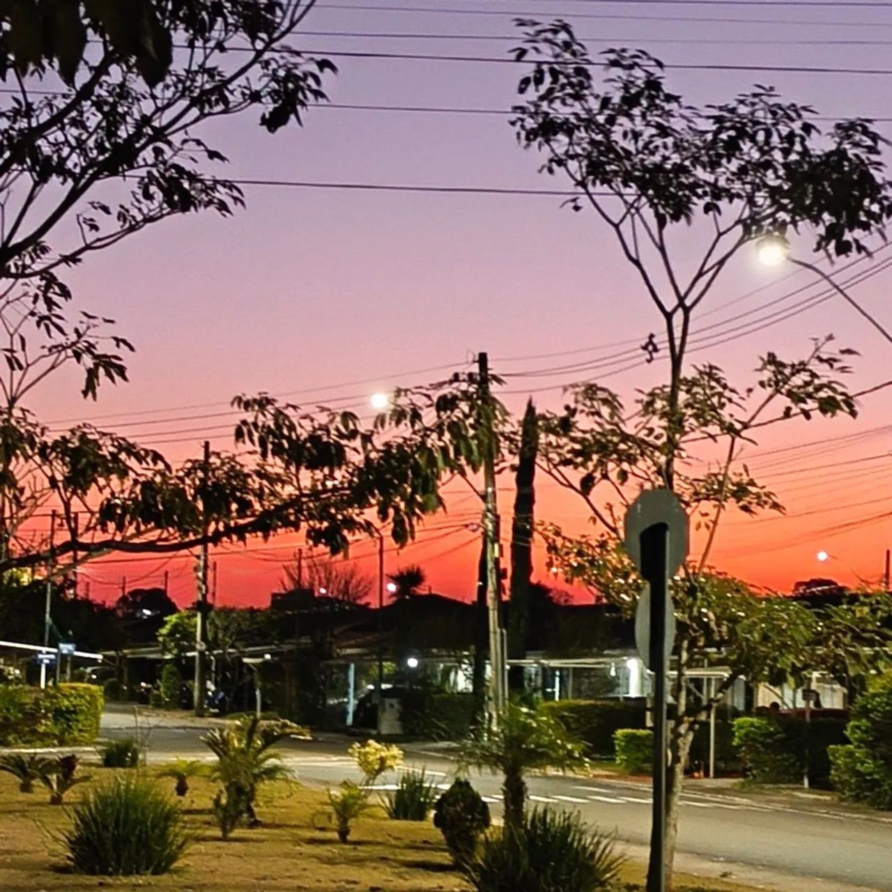 Foto - Juiz de Fora - Borboleta