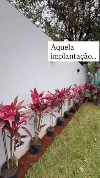 G&P Jardins e Paisagismo - Foto 4
