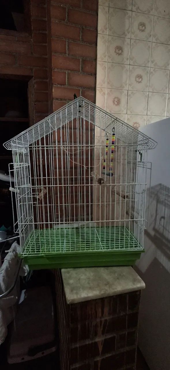 gaiola para passaros - Foto 4