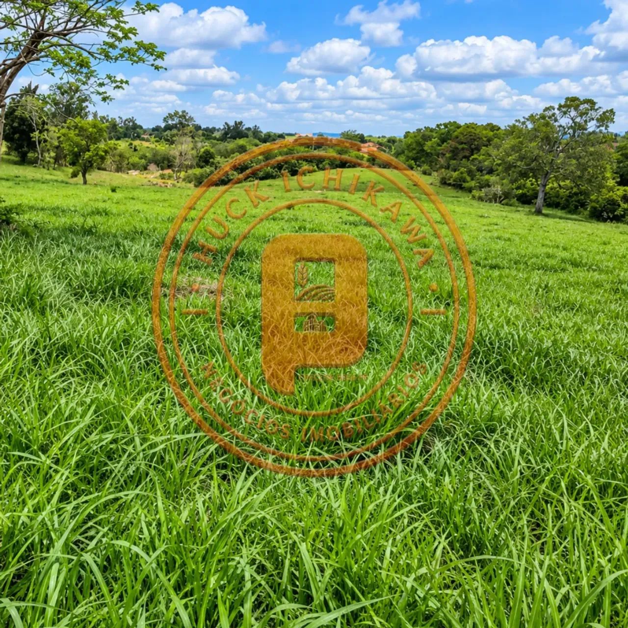 FAZENDA em MARUIM - 60 Tarefas - Foto 5