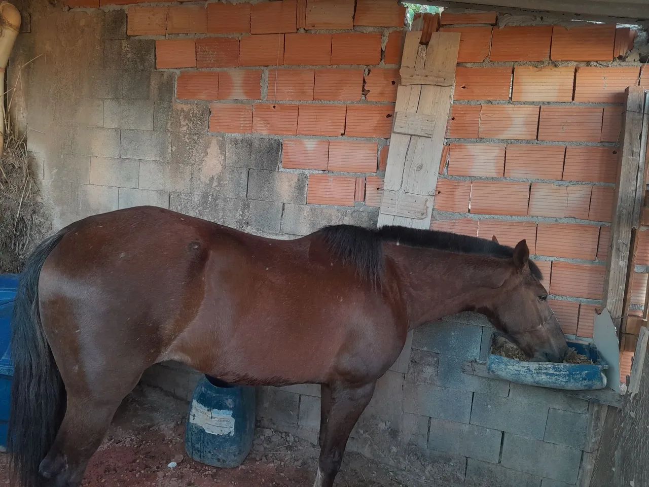 Vende se - Foto 2