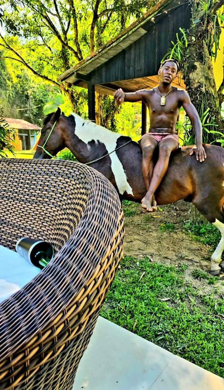 Vendo Cavalo Mangalarga - Foto 3