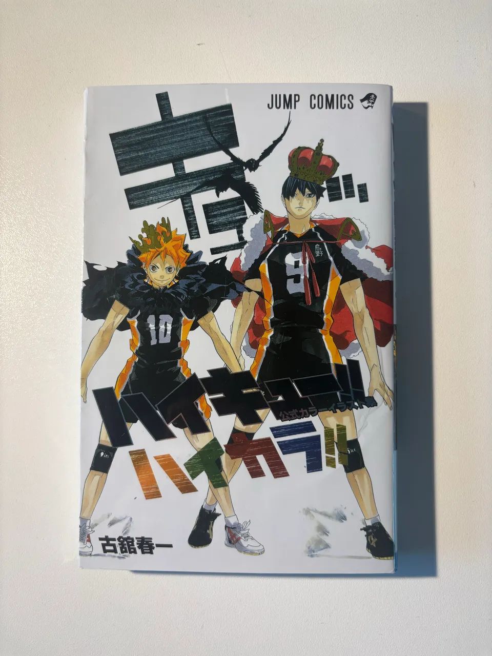 Art book haikyuu
