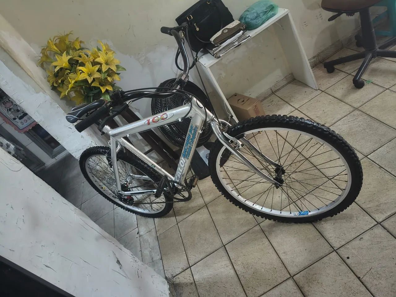Bicicleta 