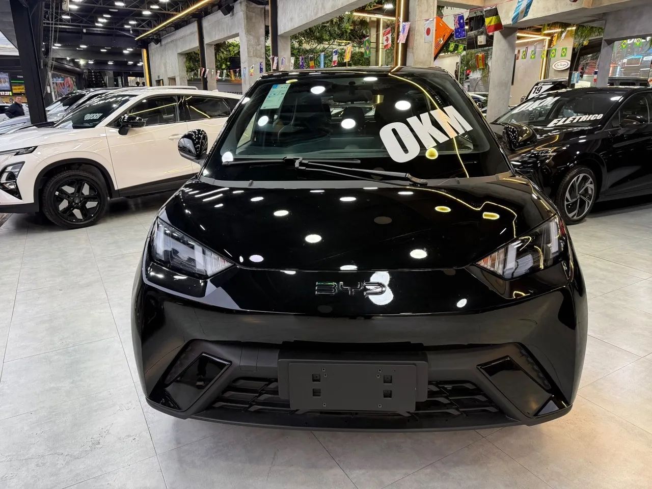 BYD Dolphin EV (Elétrico) 2027 - Foto 2