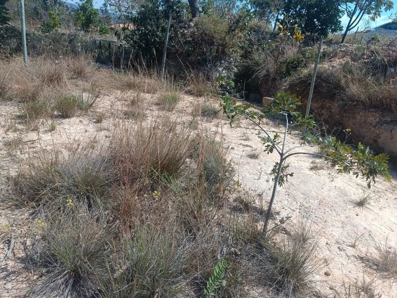 Vende chácara  aceito troca  - Foto 3