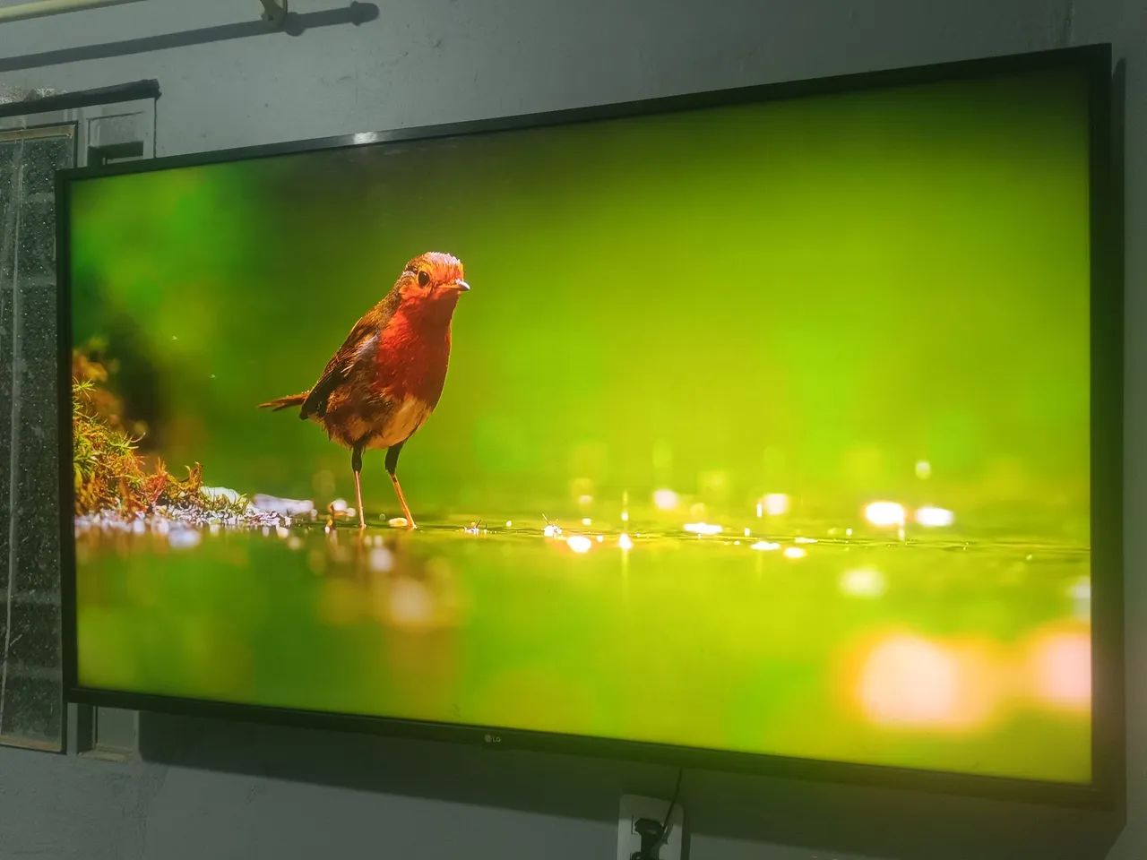 Smart tv lg