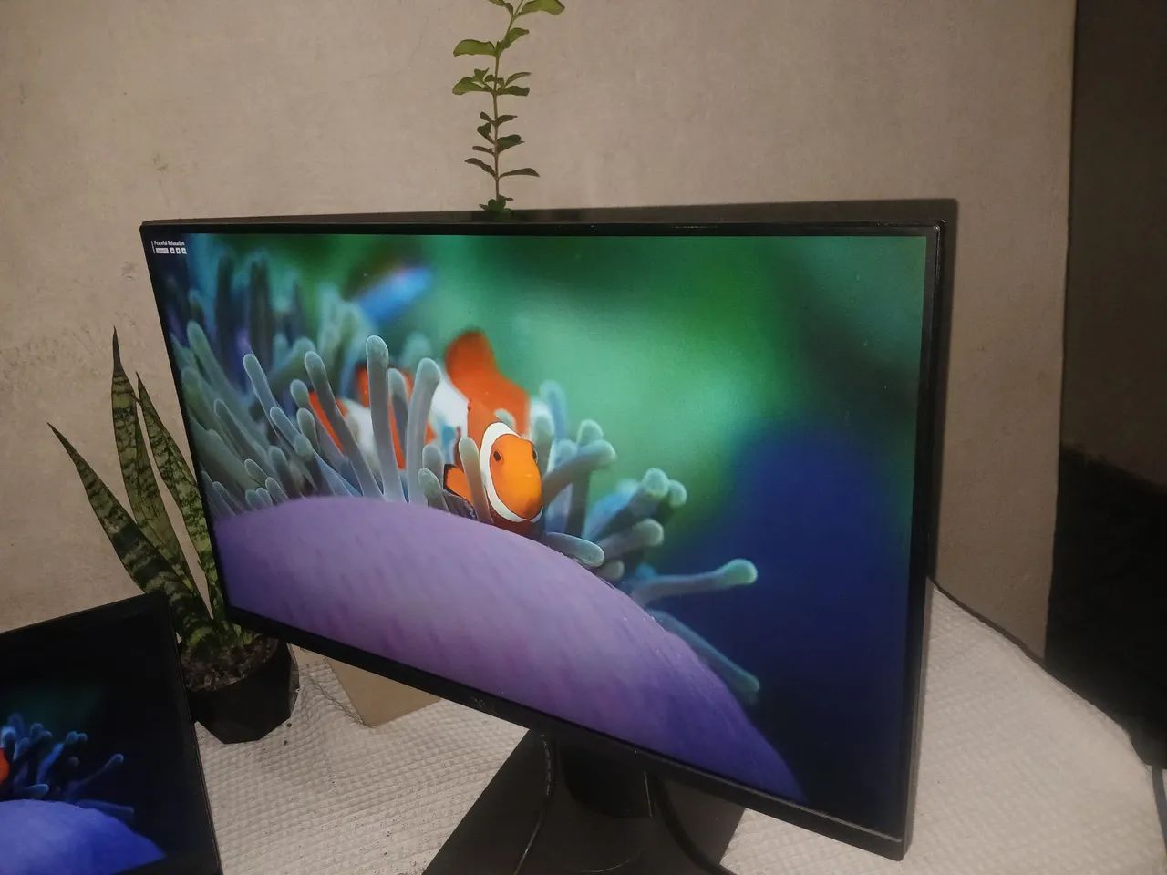 Monitor Dell Profissional P2319h 