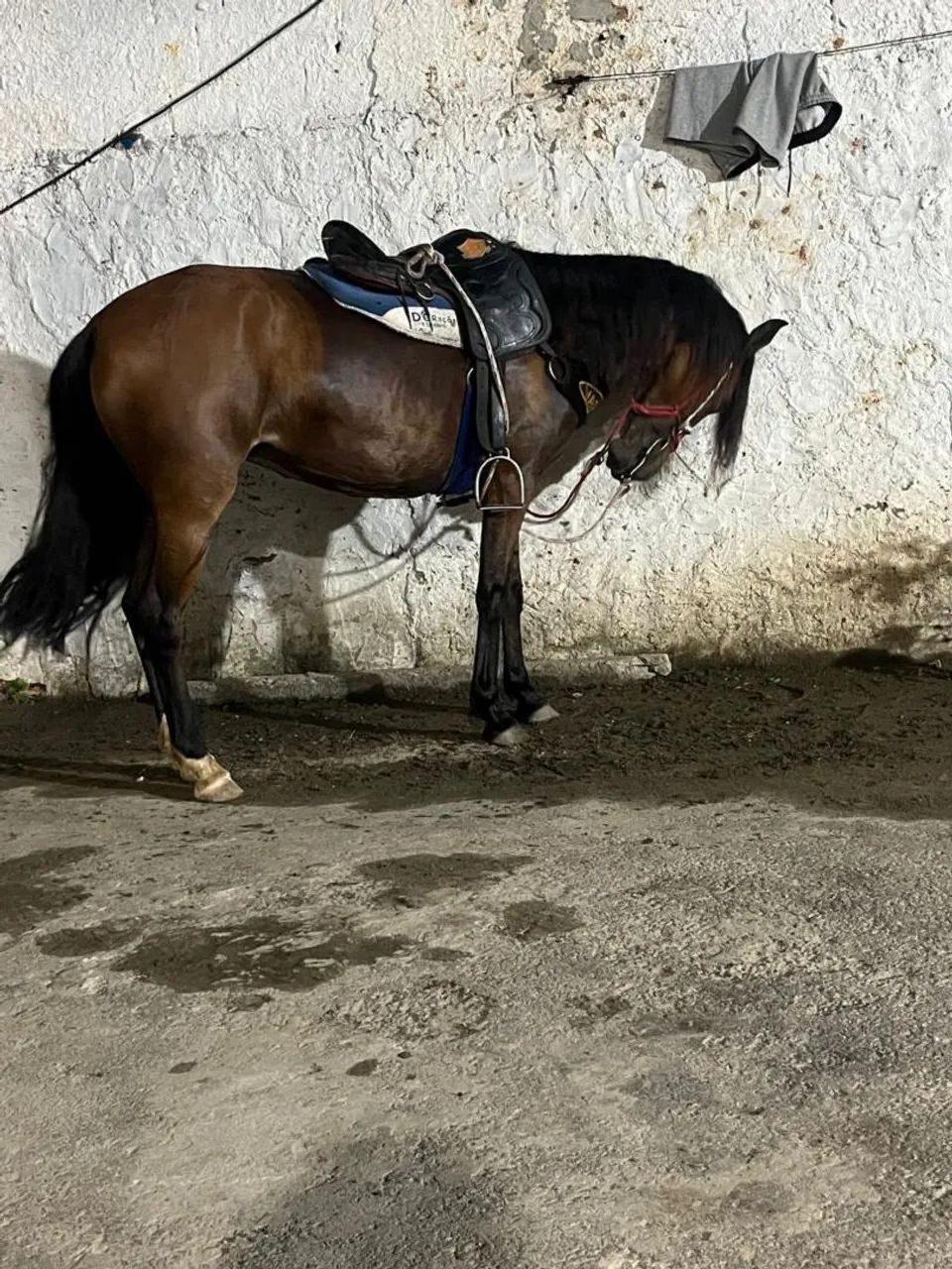 Vender rapido - Foto 3