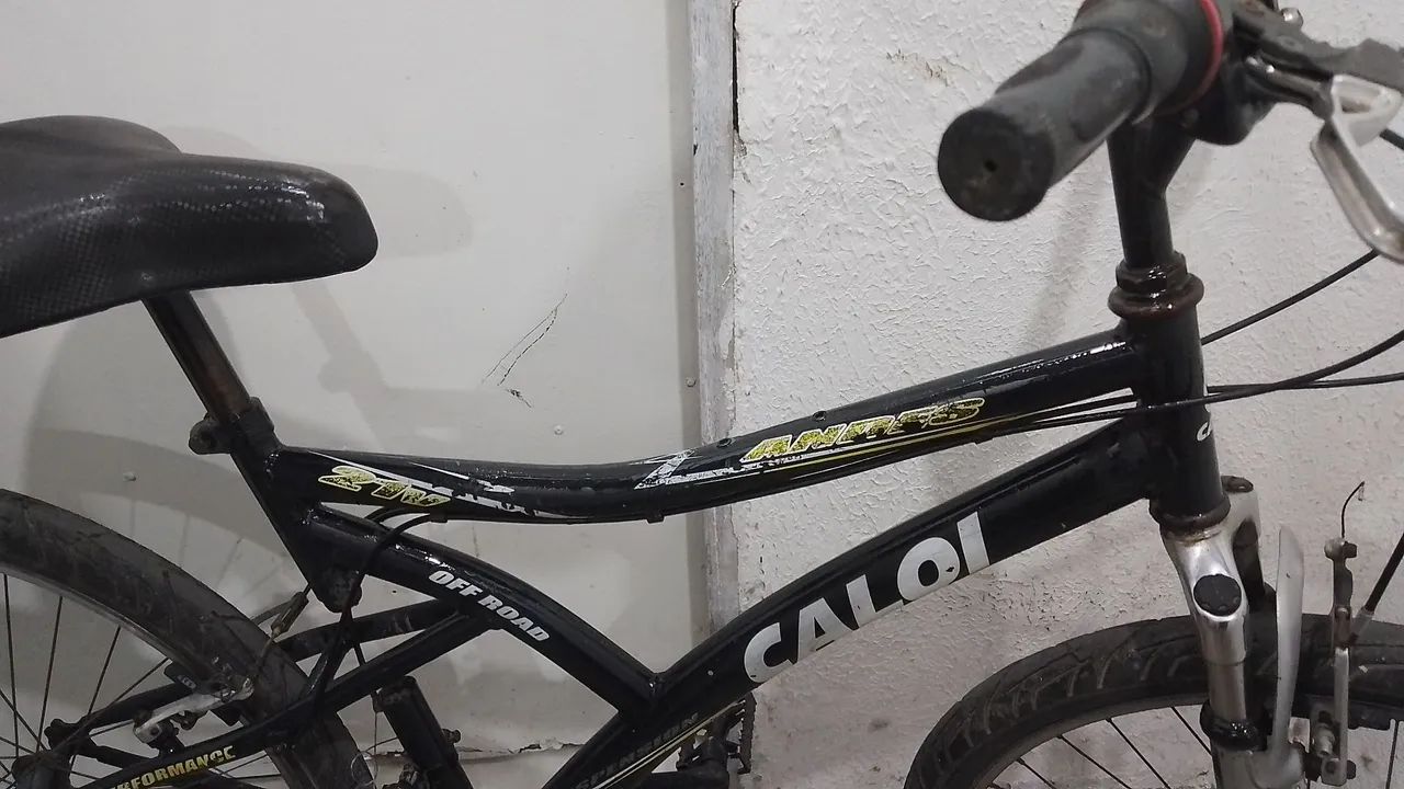 Caloi ANDES  - Foto 5