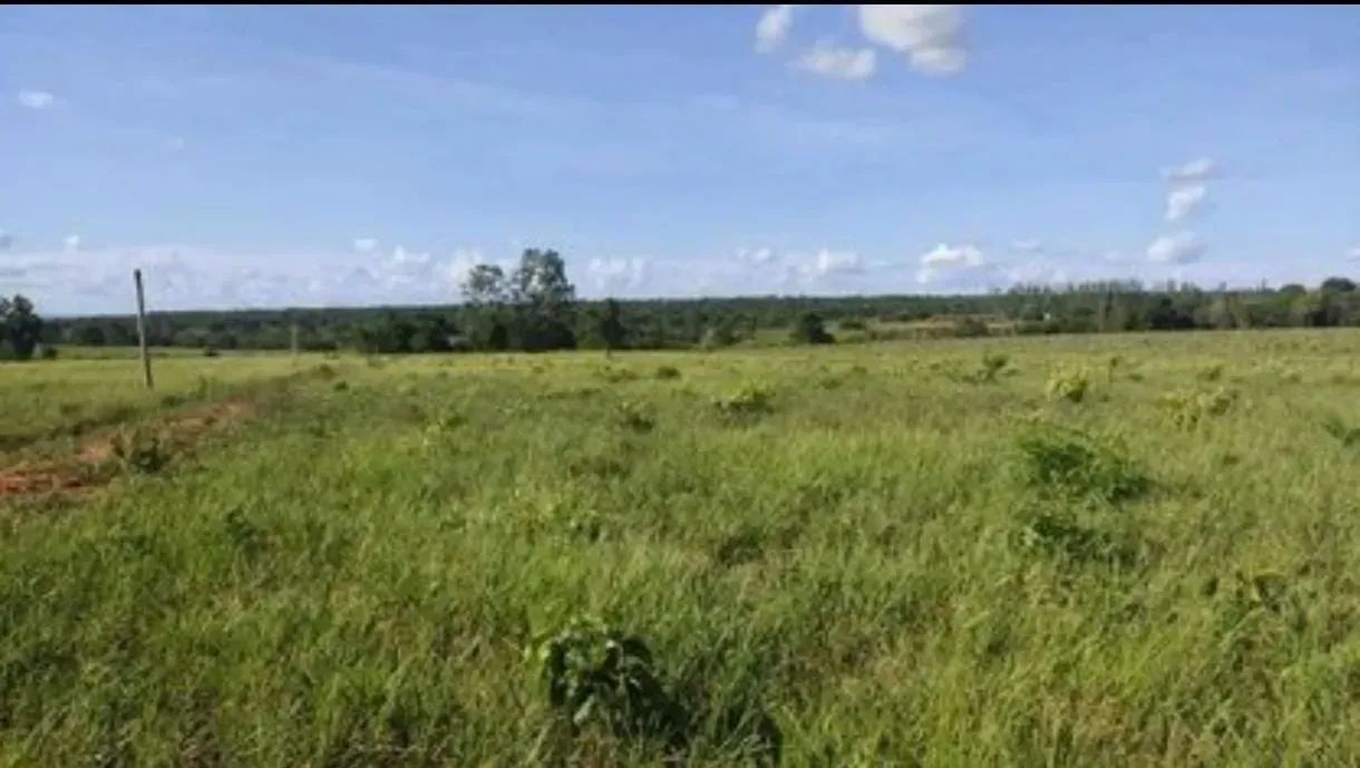 COD321- Fazenda 102 HECTARES- ROCHEDO/MS. - Foto 3