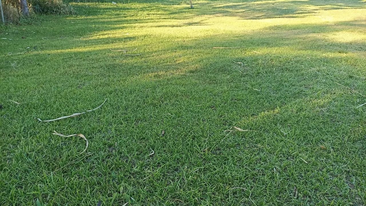 Terreno 1000metros R$120MIL. - Foto 4