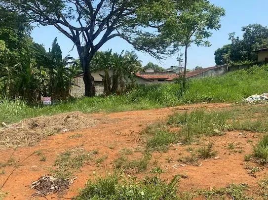 Jardim Botânico | Lote de 800 metros de esquina - Foto 6