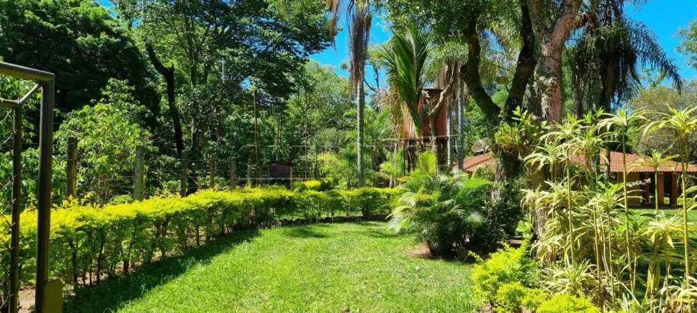 More em contato com a natureza. - Foto 4